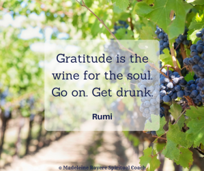 Gratitude is the wine